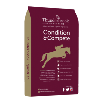 Thunderbrook Condition & Compete