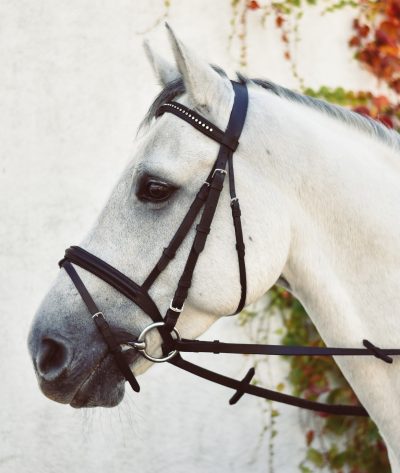 Leather Horse Browband 4 Rows Bling-3mm Clear 3mm Clear Tack.store 6mm Jet 