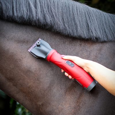 Liveryman Phoenix Clippers