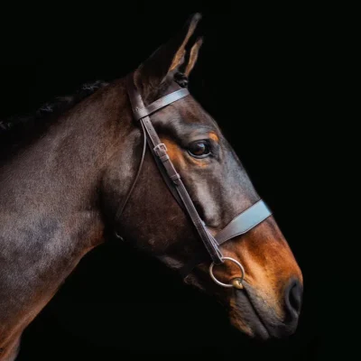 Cameo Hunt Bridle