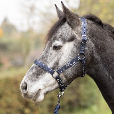 Hy Equestrian Elevate Allure Head Collar & Lead Rope