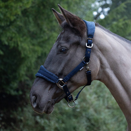 ProReaction Dura Fleece Head Collar