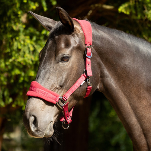 ProReaction Dura Fleece Head Collar