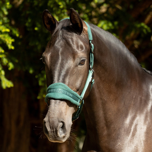 ProReaction Dura Fleece Head Collar