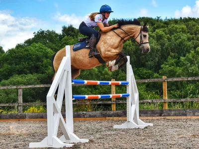 Polyjump Cross Wings