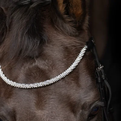 ProPresicce Signature Crystal Diamante Browband