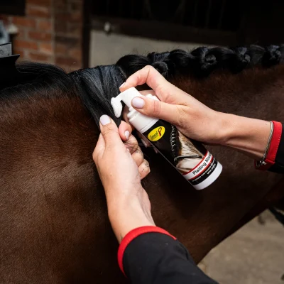 Smart Grooming Plaiting Mousse