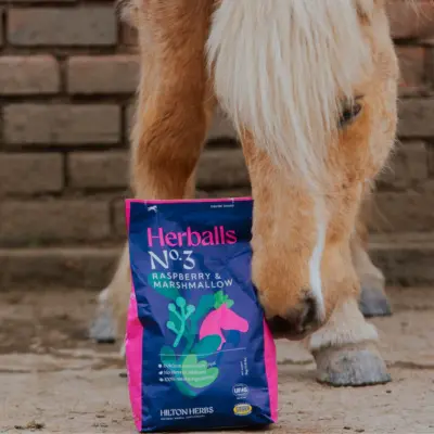 Herballs N°. 3 Raspberry & Marshmallow