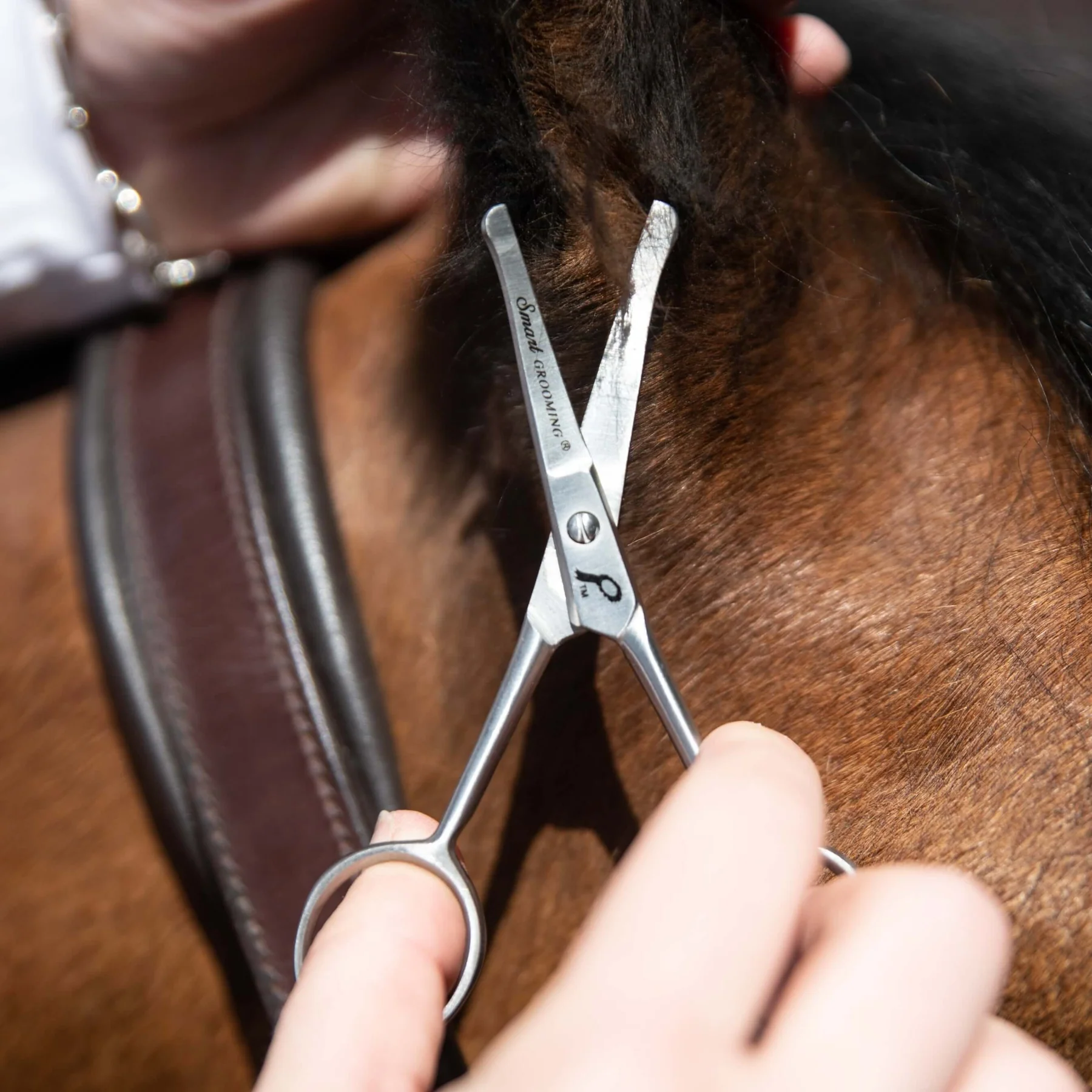 Smart Grooming 4.5” Curved Safety Scissors